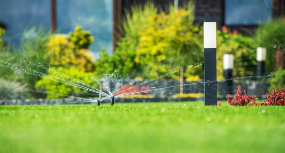 Lawn With Irrigation
